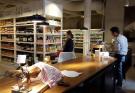 MAGASIN BIO